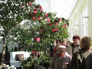 Výlet do Květné zahrady v Kroměříži - březen 2015