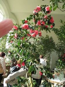 Výlet do Květné zahrady v Kroměříži - březen 2015