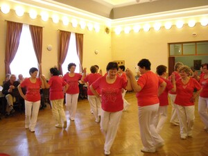 MDŽ ve Skrbeni - 2015