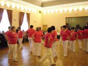MDŽ ve Skrbeni - 2015